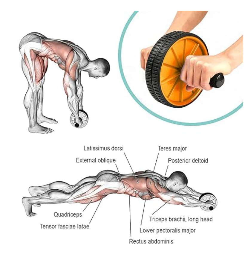 Abs Roller